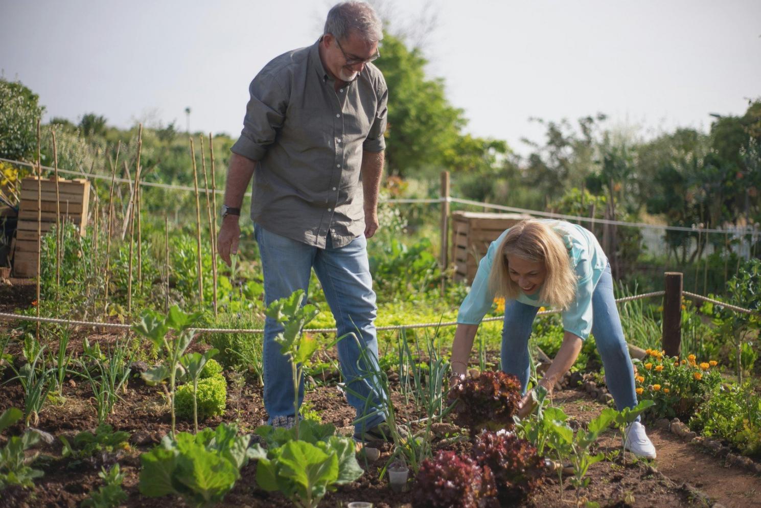 Grupa osób podczas warsztatu rozwoju osobistego